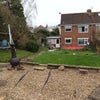 Photo 9: From back of rear garden