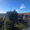 Photo 9: Other view from bedroom 