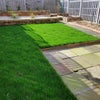 Photo 6: Garden