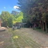Photo 8: Garden 