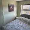 Photo 2: Bedroom