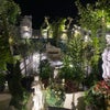 Photo 8: Garden fully lit at night 