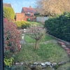 Photo 4: View of garden from room.