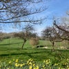Photo 7: Great location opposite Arnos Court park