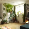 Photo 6: Green wall in our living room 