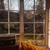 Photo 7: Bay Window & Garden View