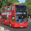 Photo 15: Local bus