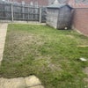 Photo 4: Rear garden