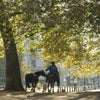 Photograph of Caleb