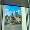 Photo 4: Window view, good natural light