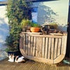 Photo 6: Mika (L) & Minky