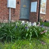 Photo 4: Front garden