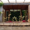 Photo 6: Yoga Shala