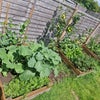 Photo 8: Planters
