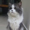 Photograph of Milana