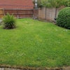 Photo 8: Rear garden