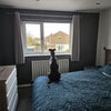 Photo 6: Bedroom 1 + Dog :-)