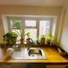 Photo 7: Kitchen