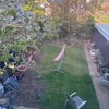 Photo 7: Garden