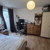 Photo 3: Room for rent