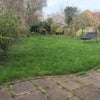 Photo 2: Back Garden