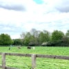 Photo 8: Nearby field