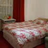 Photo 9: Bedroom downstairs