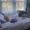 Photo 1: Double bedroom 