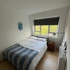 Photo 4: Bedroom 1 