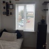 Photo 1: Single room, storage bed and storage unit. Shelves and space for single wardrobe 