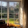 Photo 3: View from Bay Window to Garden