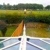 Photo 3: Lovely large shared garden