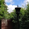 Photo 6: communal garden