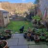Photo 9: Garden