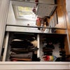 Photo 5: Built in closet with mirrored doors