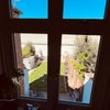 Photo 9: Your Garden view