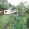 Photo 1: Fence on the right, less shrubs or left, lots of grape vine now near tree house to shed 