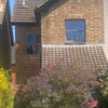 Photo 9: Back of the house