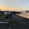 Photo 7: Roof Terrace