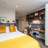 Photo 1: Ensuite Gold room