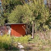 Photo 9: Vegetable garden and small dog