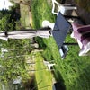 Photo 2: Back garden 
