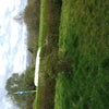Photo 4: Front garden 