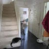 Photo 7: Hallway ft Cat