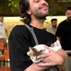 Photograph of shahin