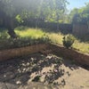 Photo 10: Rear Garden