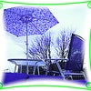 Photo 1: The holiday experience