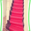 Photo 2: Stairs with new carpet