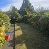 Photo 5: Garden