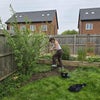Photo 5: put me to work in the garden!